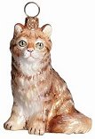 Maine Coon Cat Red